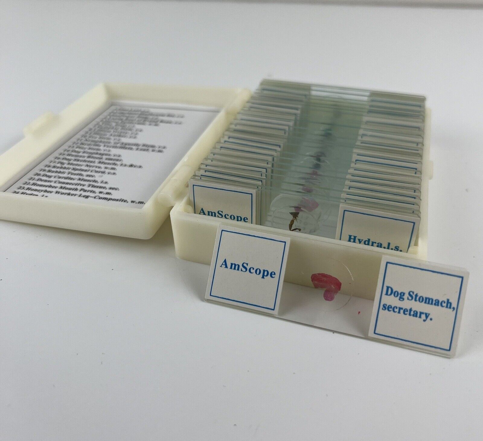 Vintage AmScope Set of 25 Microscope Slides W/ Plastic Case Animals, Blood Etc