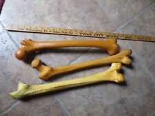 Femur  practice modelS Surgical Training pre-owned LOT OF 3  VINTAGE LOOK picture