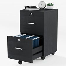 VINGLI 2-Drawer Classic Black Small Wood Rolling File Cabinet with Lock 27.2