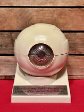 Vintage 1960s Educational Model Of Anatomical Human Eye Indiana picture