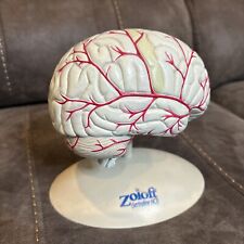 Vintage 3D composite brain model By pharmdesign For Zoloft / Pharmacy/ Medical picture